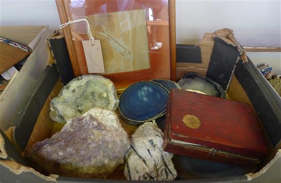 Small framed fish fossil and a collection of mineral specimens, etc
